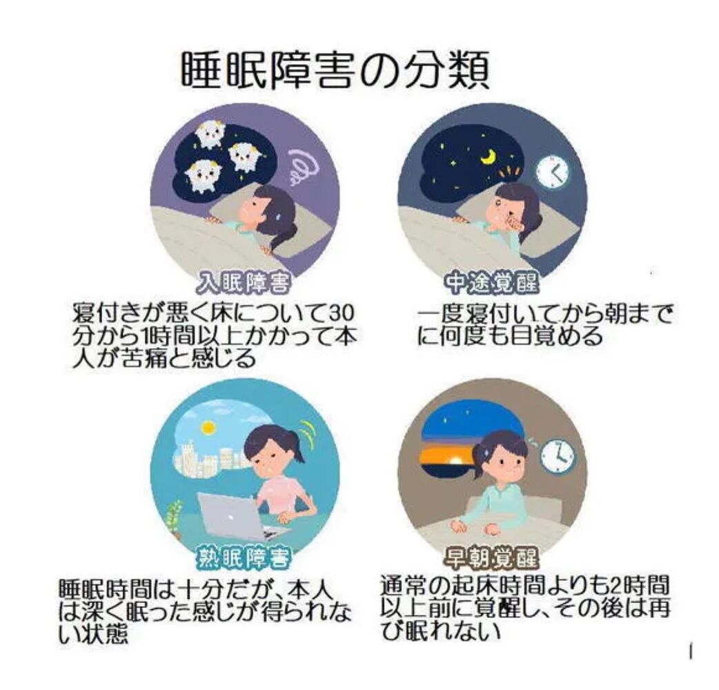 画像1284